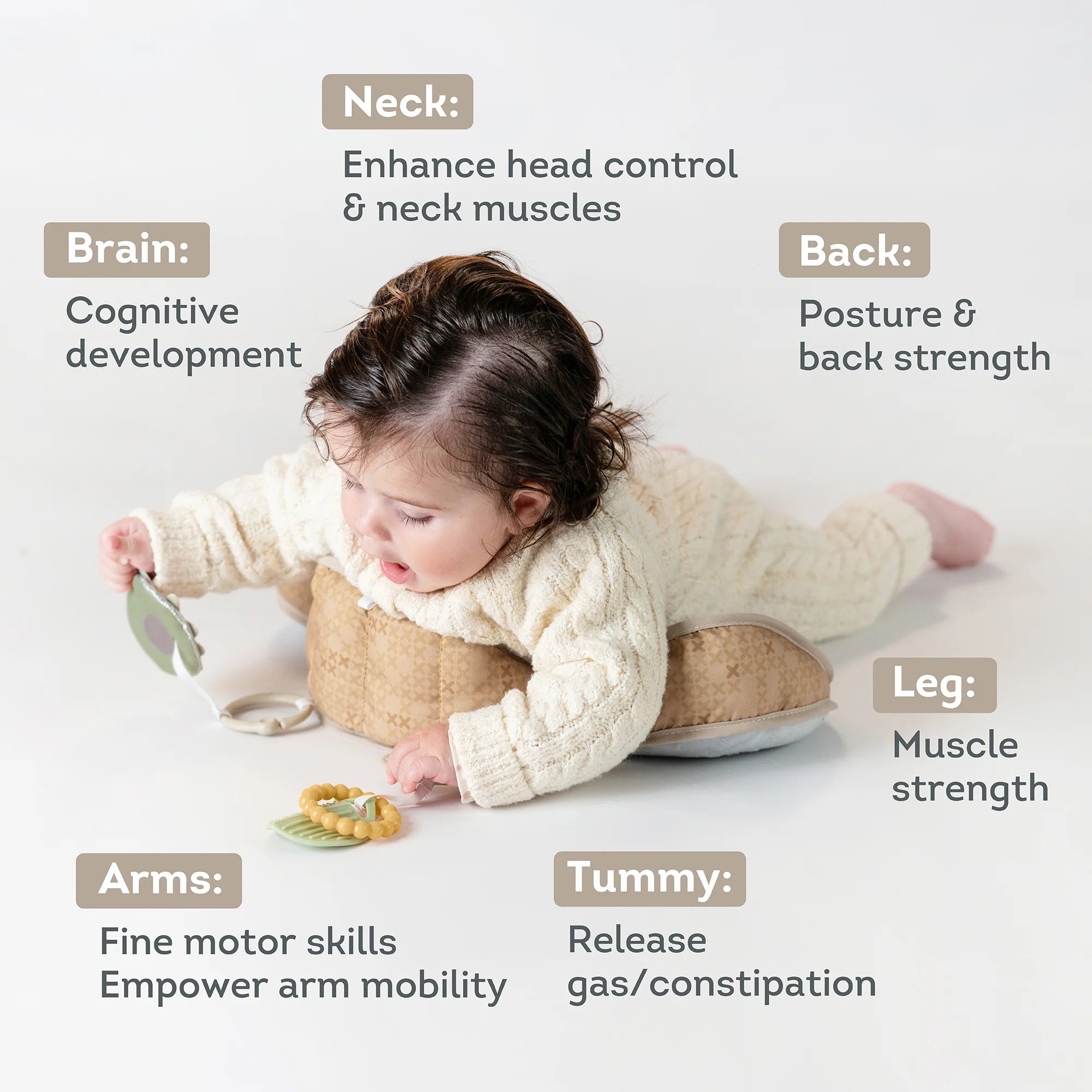 Taf Toys Tummy Time Pillow - Bear 0M+