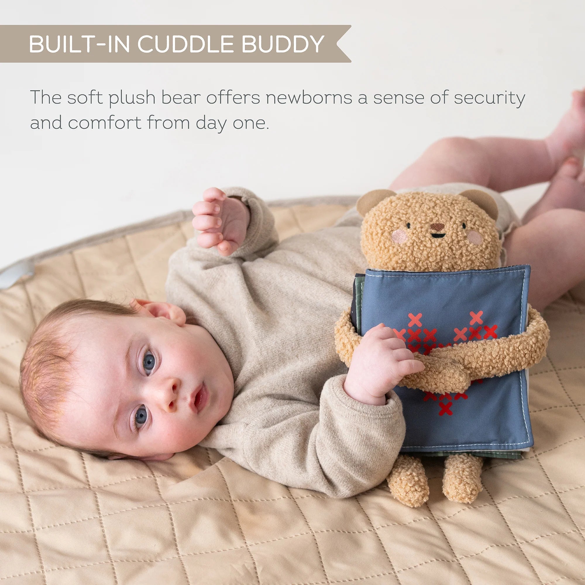 Taf Toys Snuggle Bear Book