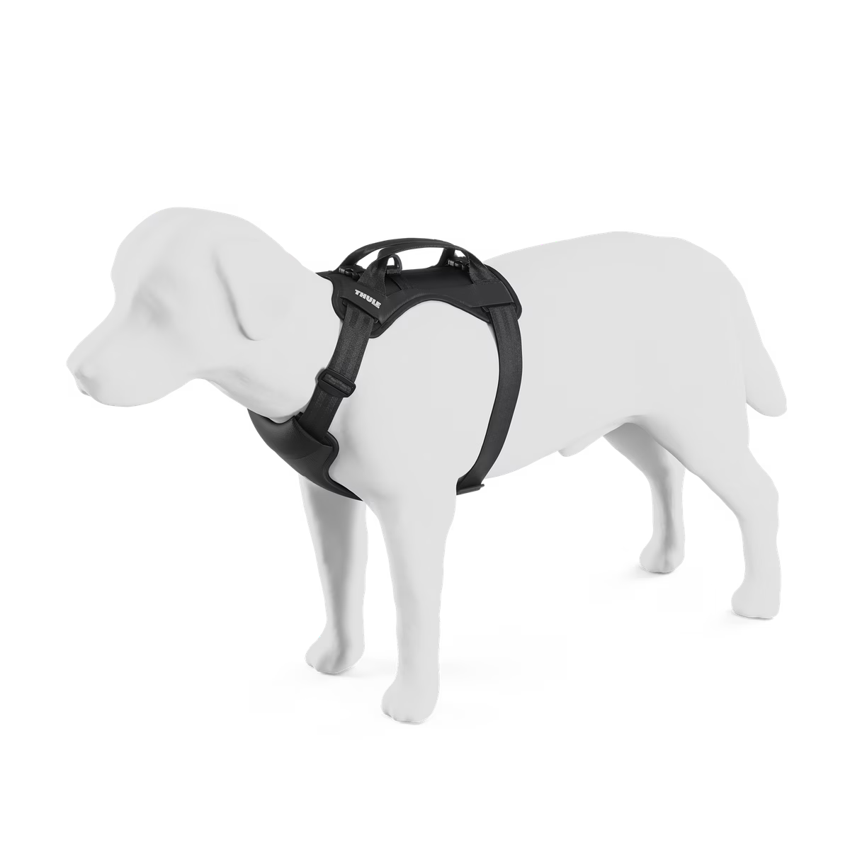 Thule Cappy S | ETA 15 July