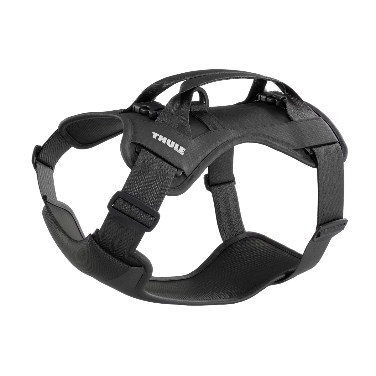Thule Cappy L