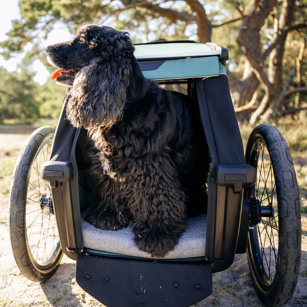 Thule Bexey M