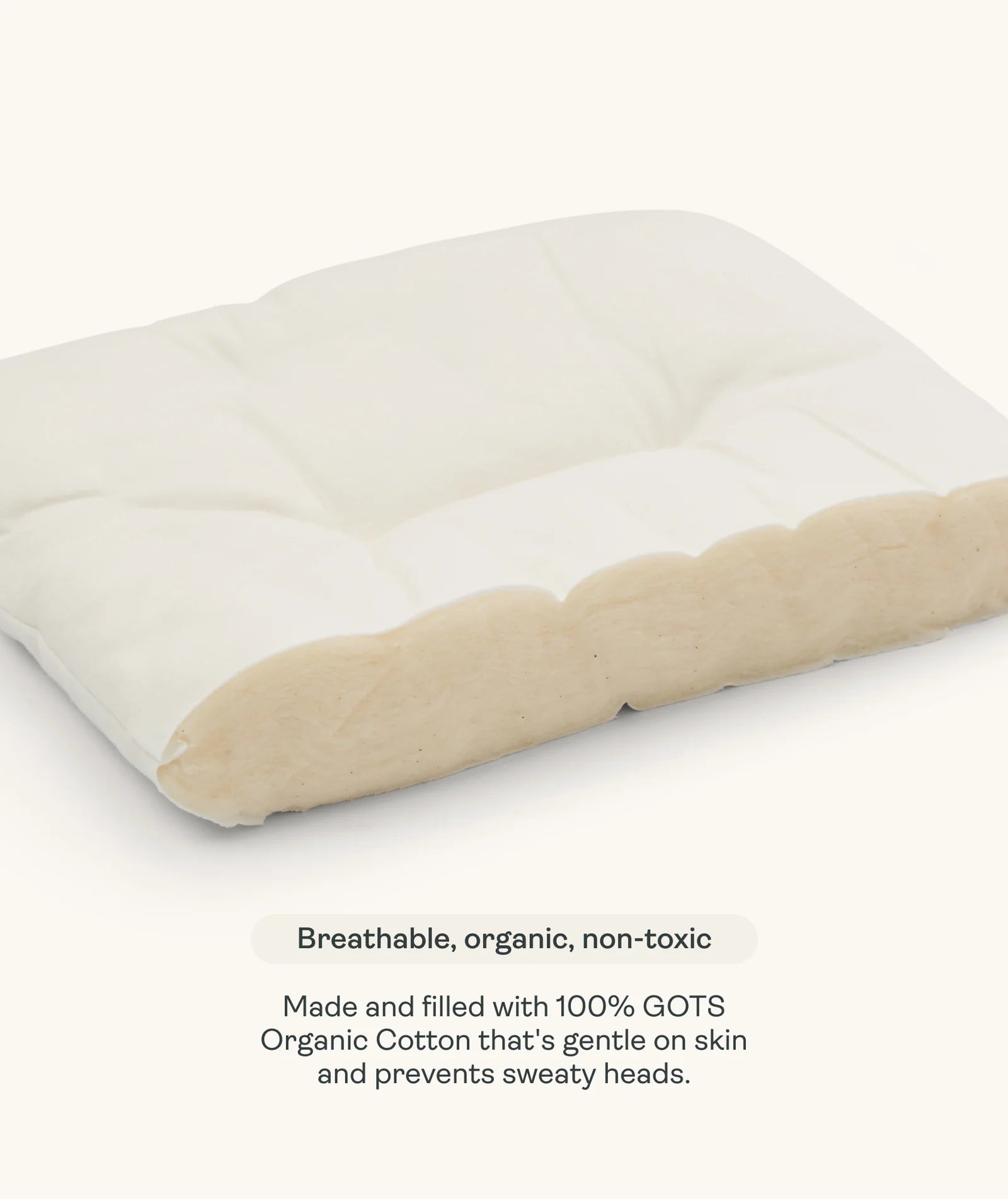 Ergopouch Organic Toddler Pillow and Case WILLOW
