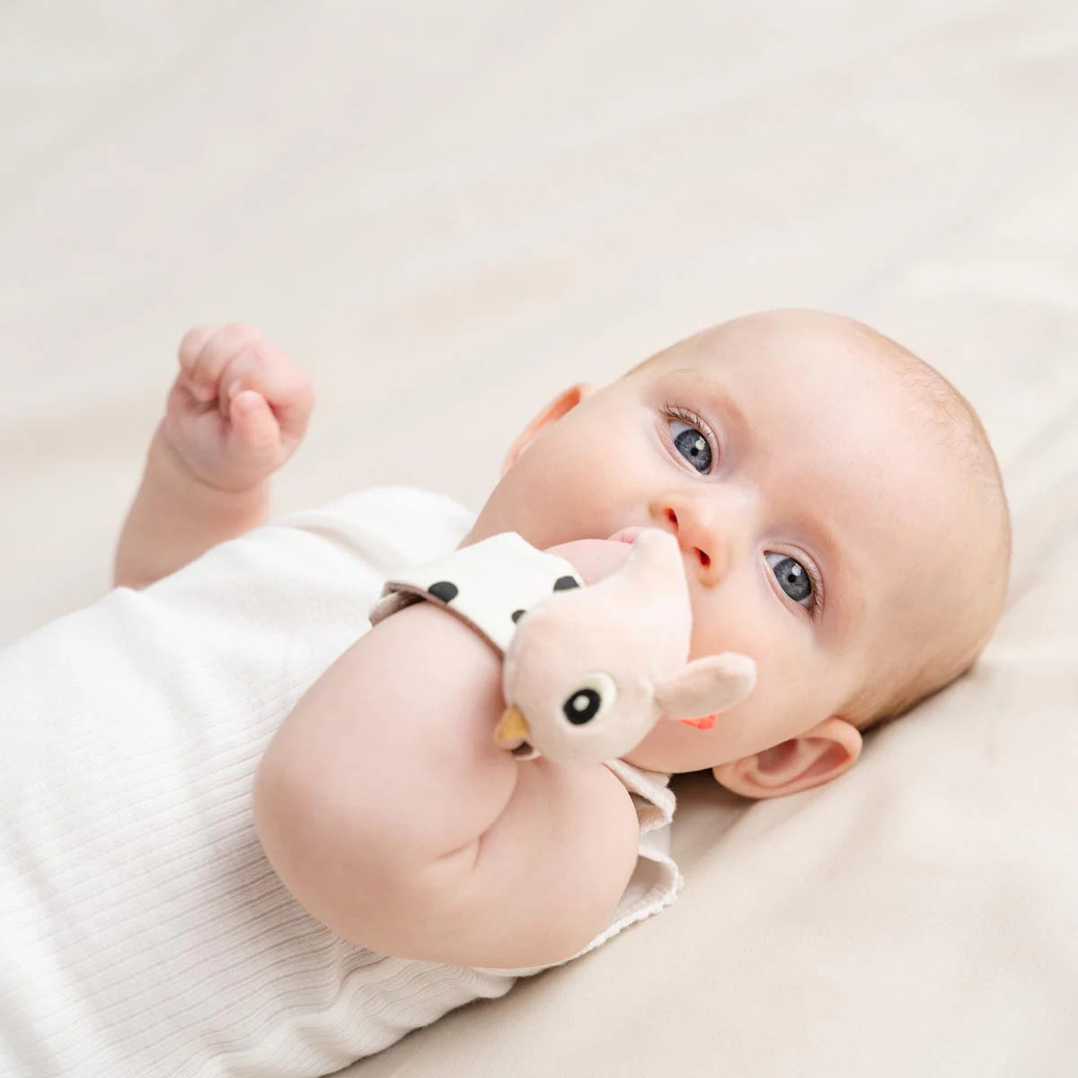 Done by Deer Wrist Rattle 2 Piece Set POWDER - Tiny Tots Baby Store