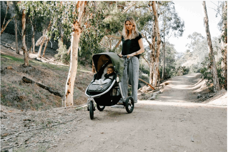 Bumbleride Organic Baby Stroller with Sunshade and Organic Cotton Infant Insert
