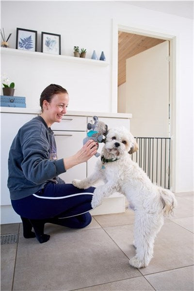 Woman playing with a white dog near Dogspace Lucky extending pet gate in black