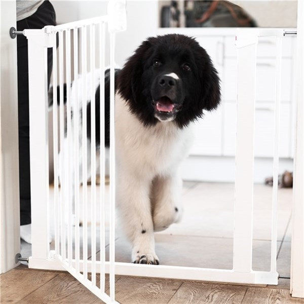 Black and white dog behind DogSpace Lassie Pet metal safety gate in white