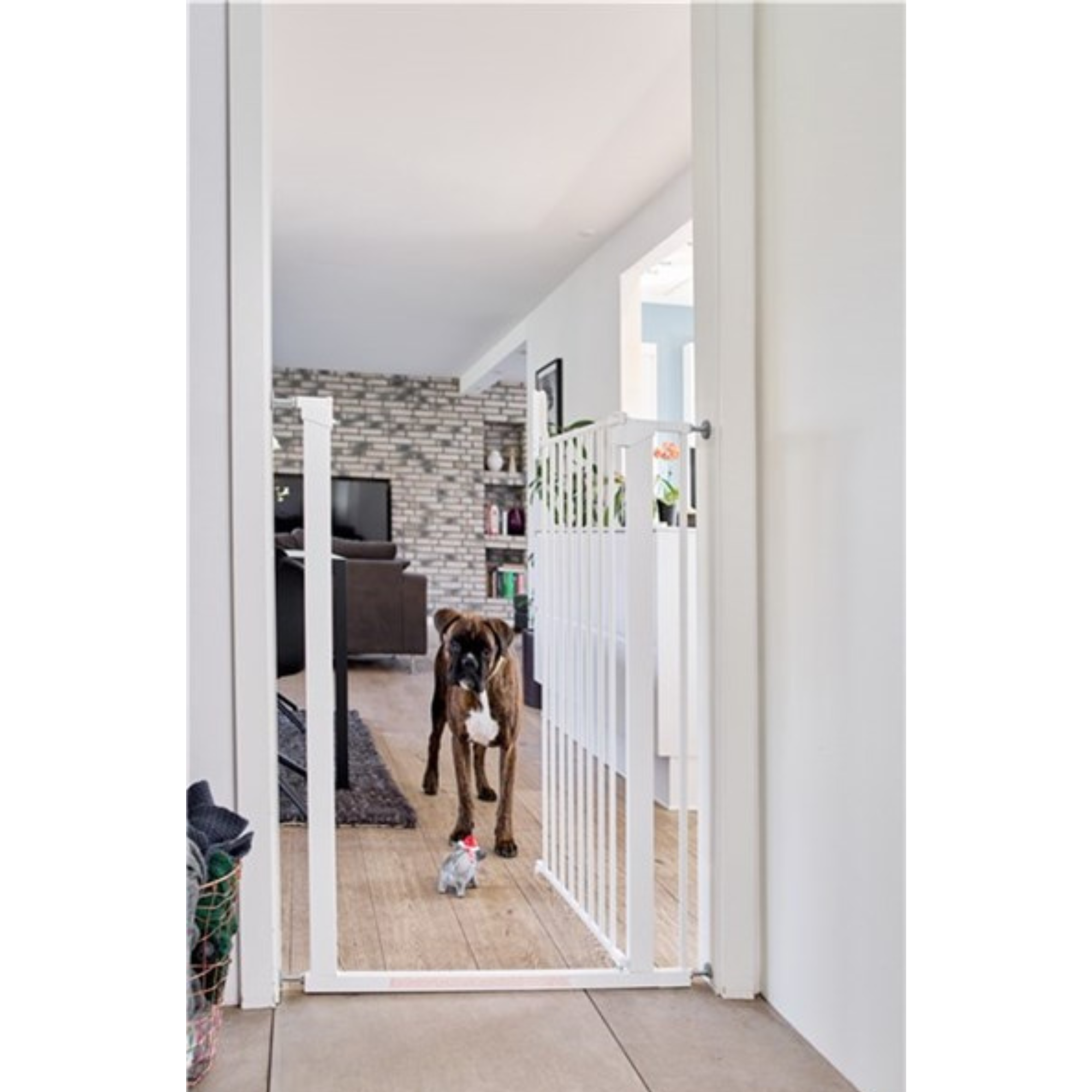 White pet gate from DogSpace Extension for Bonnie extra tall Pet gate perfect for navigating with Toshi Baby Romper or Odyssey Wagon Wheels