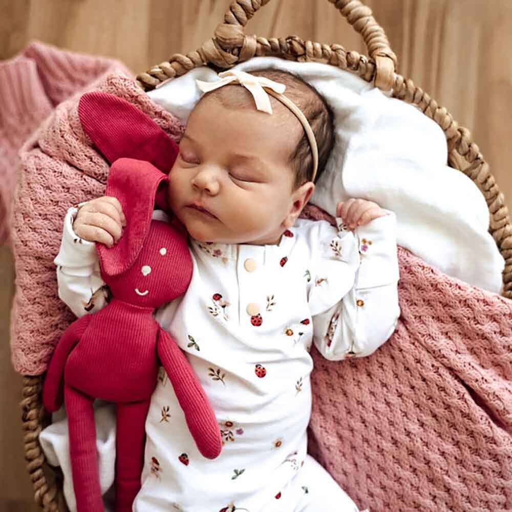 Snuggle Hunny - Ladybug Organic Growsuit
