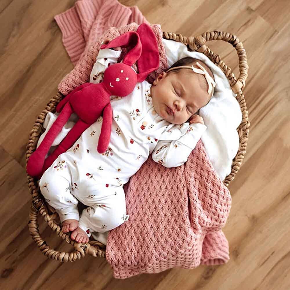Snuggle Hunny - Ladybug Organic Growsuit