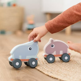 Done by Deer Push Toy