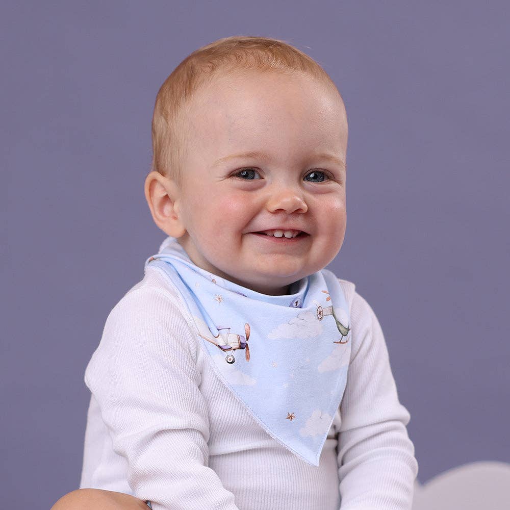 Snuggle Hunny - Taking Flight Organic Dribble Bib