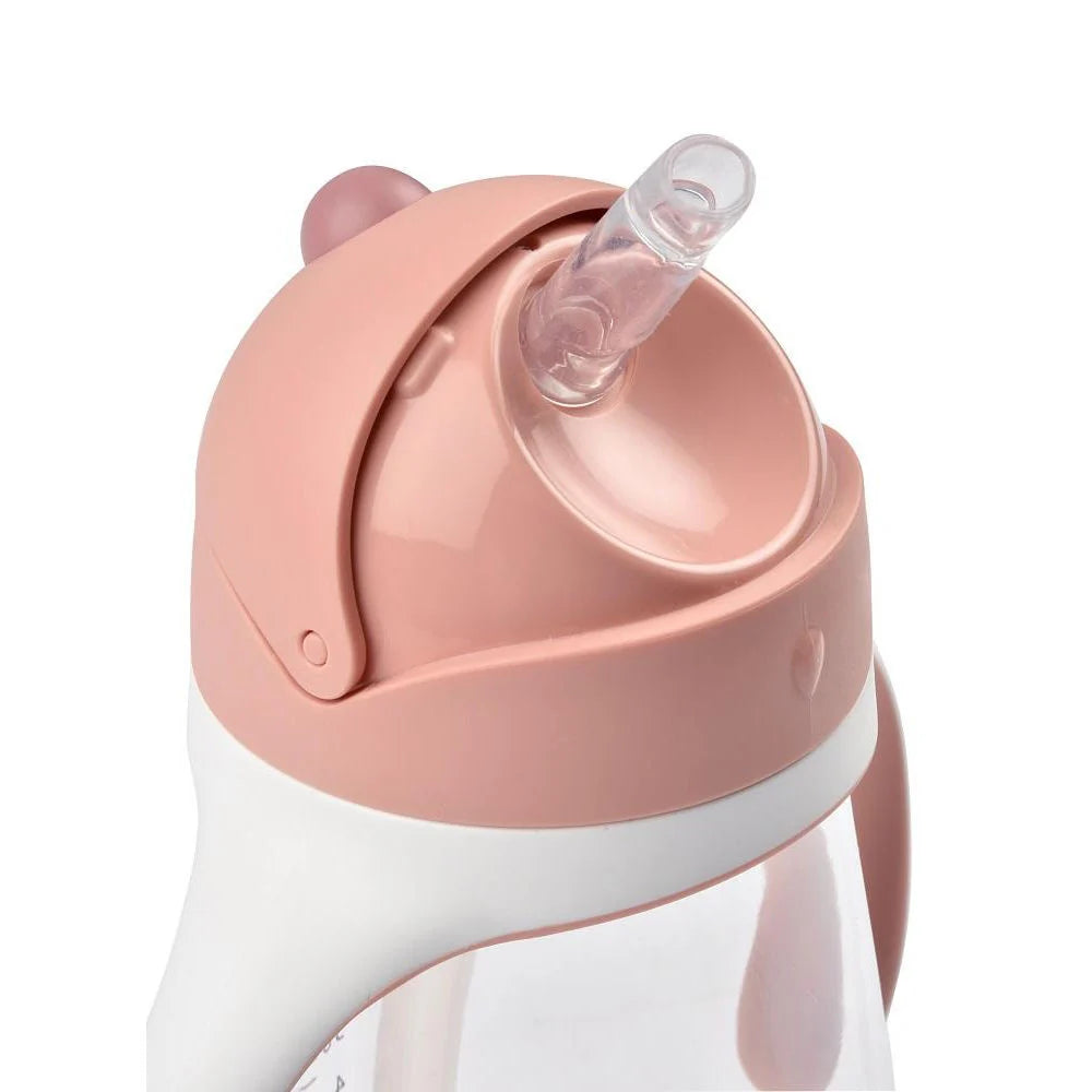 Beaba Straw Cup 300ML - VINTAGE PINK