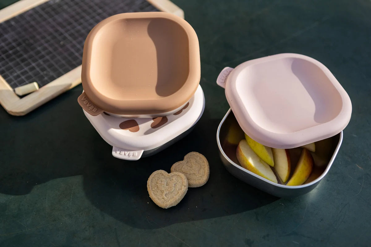 Beaba Stainless Steel Meal Box Set - Big Love