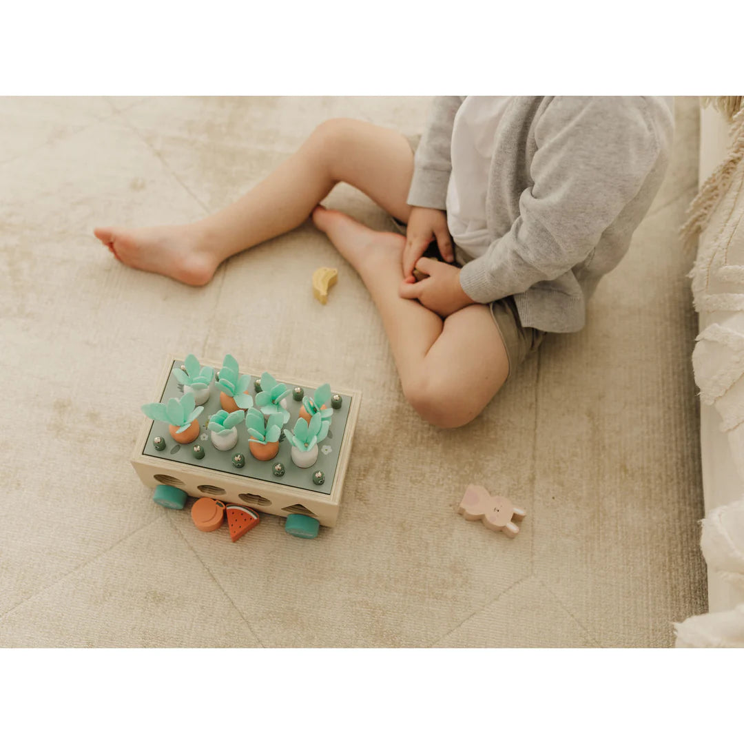 Bubble Wooden Vegetable Garden | ETA Early July