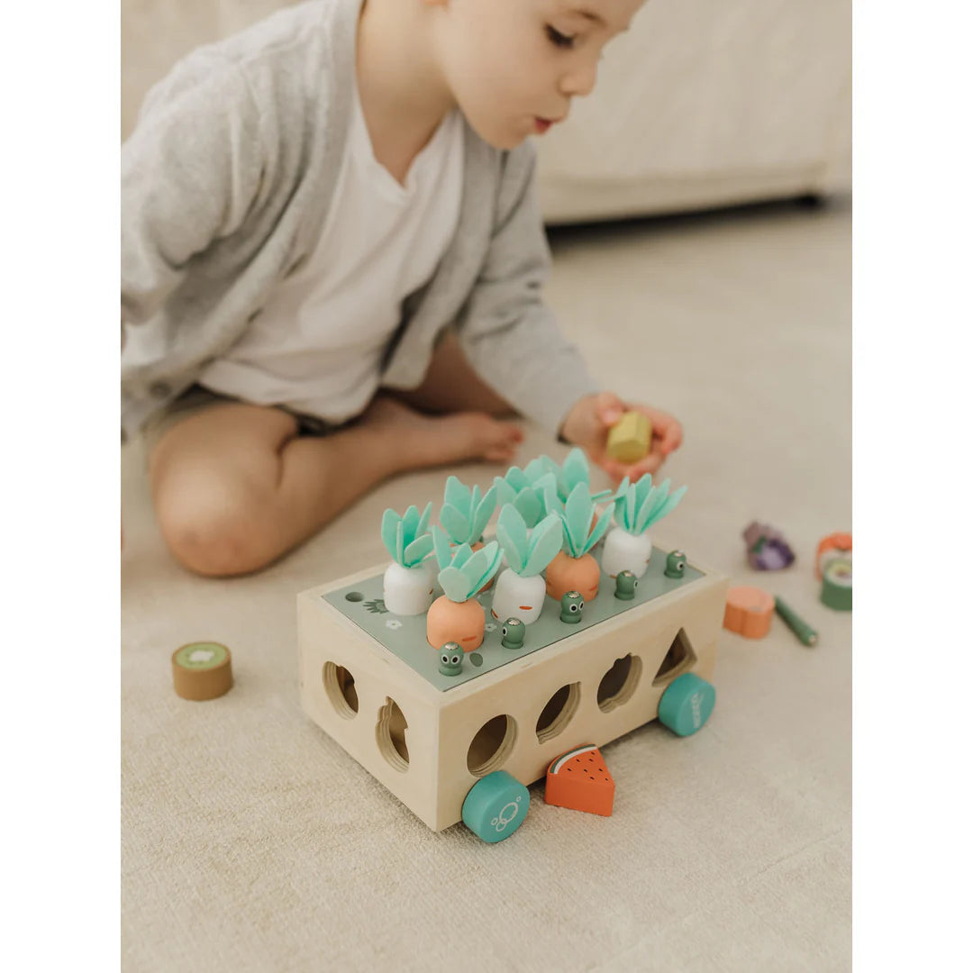 Bubble Wooden Vegetable Garden | ETA Early July