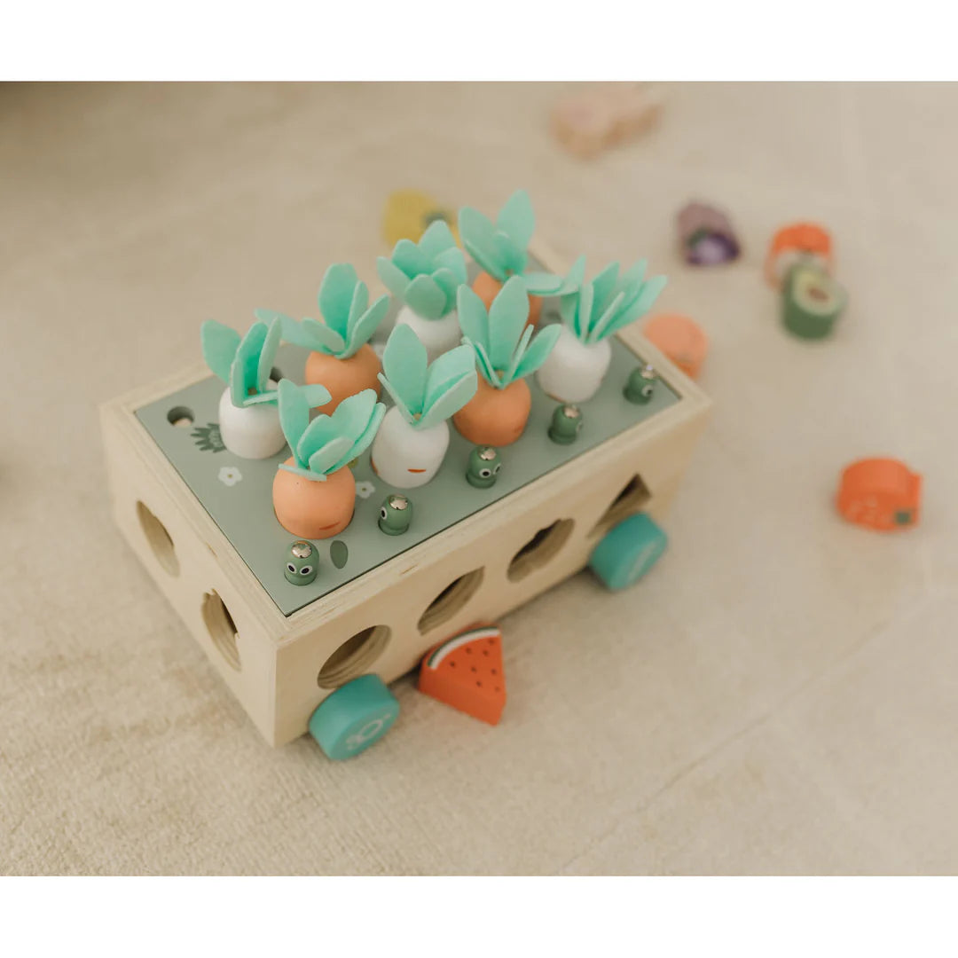 Bubble Wooden Vegetable Garden | ETA Early July