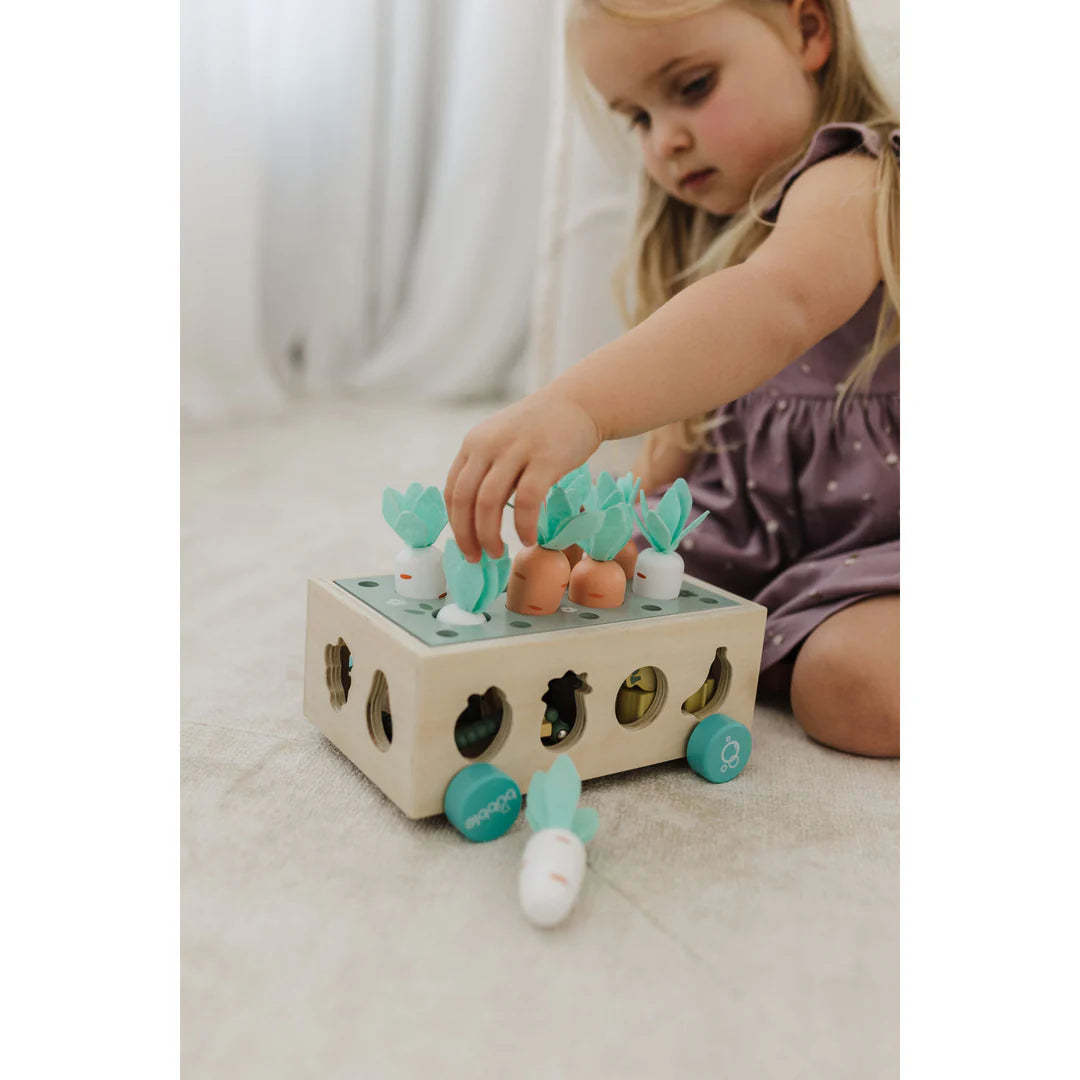 Bubble Wooden Vegetable Garden | ETA Early July