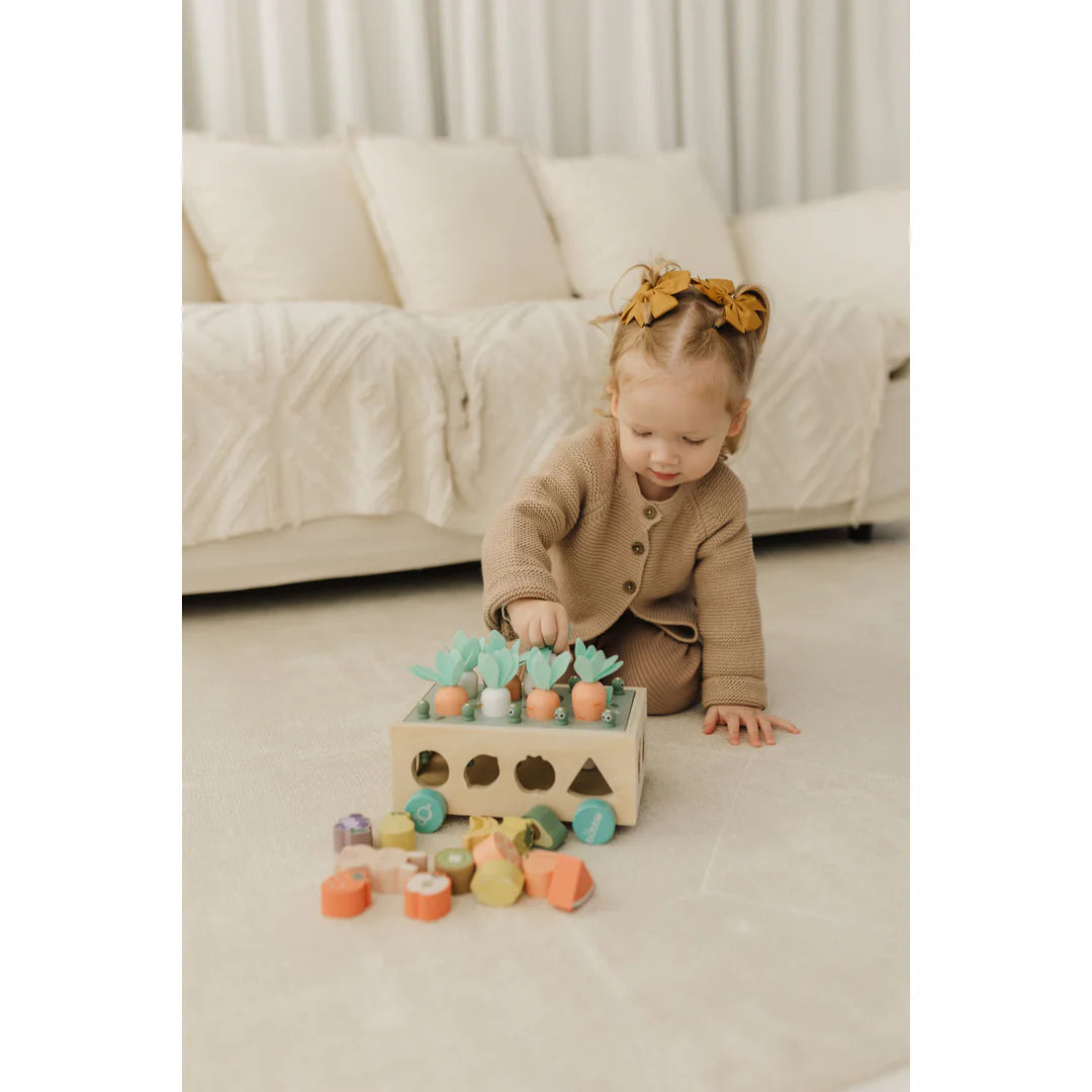 Bubble Wooden Vegetable Garden | ETA Early July