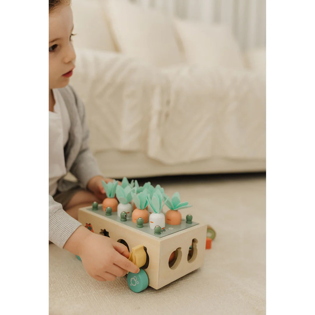 Bubble Wooden Vegetable Garden | ETA Early July
