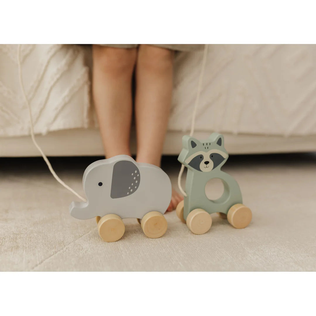 Bubble Wooden Raccoon Pull Along Toy | ETA Early SEP
