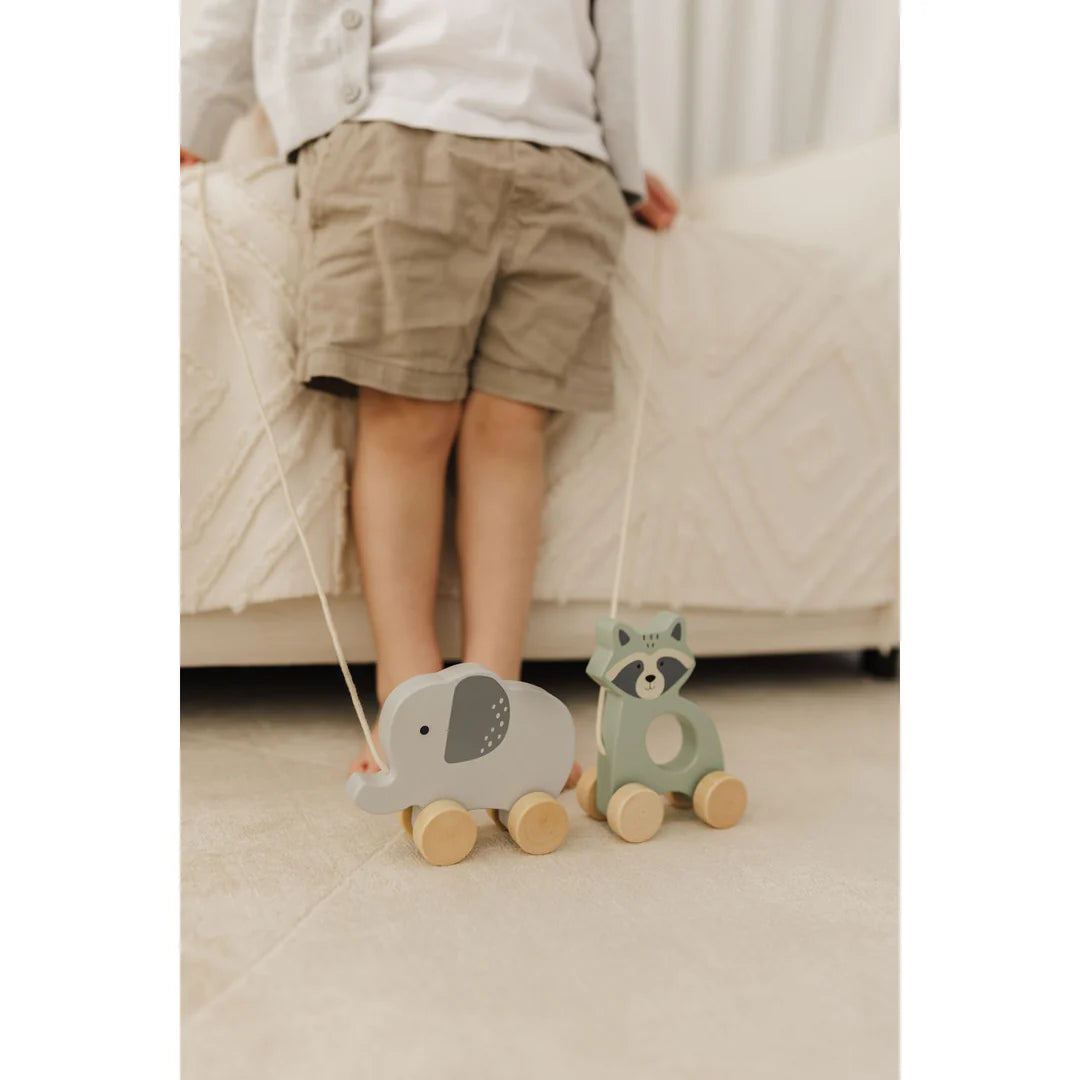 Bubble Wooden Raccoon Pull Along Toy | ETA Early SEP