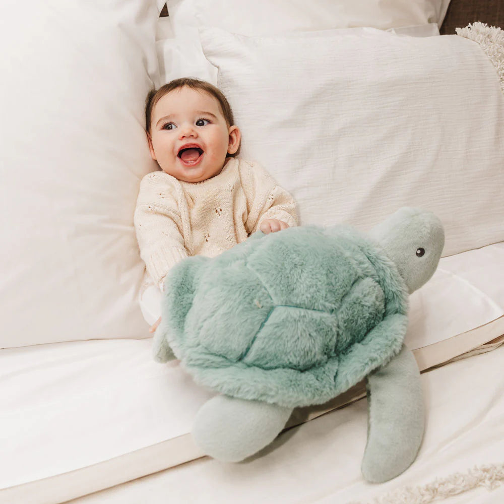 Bubble Plush Toy - Toby The Turtle