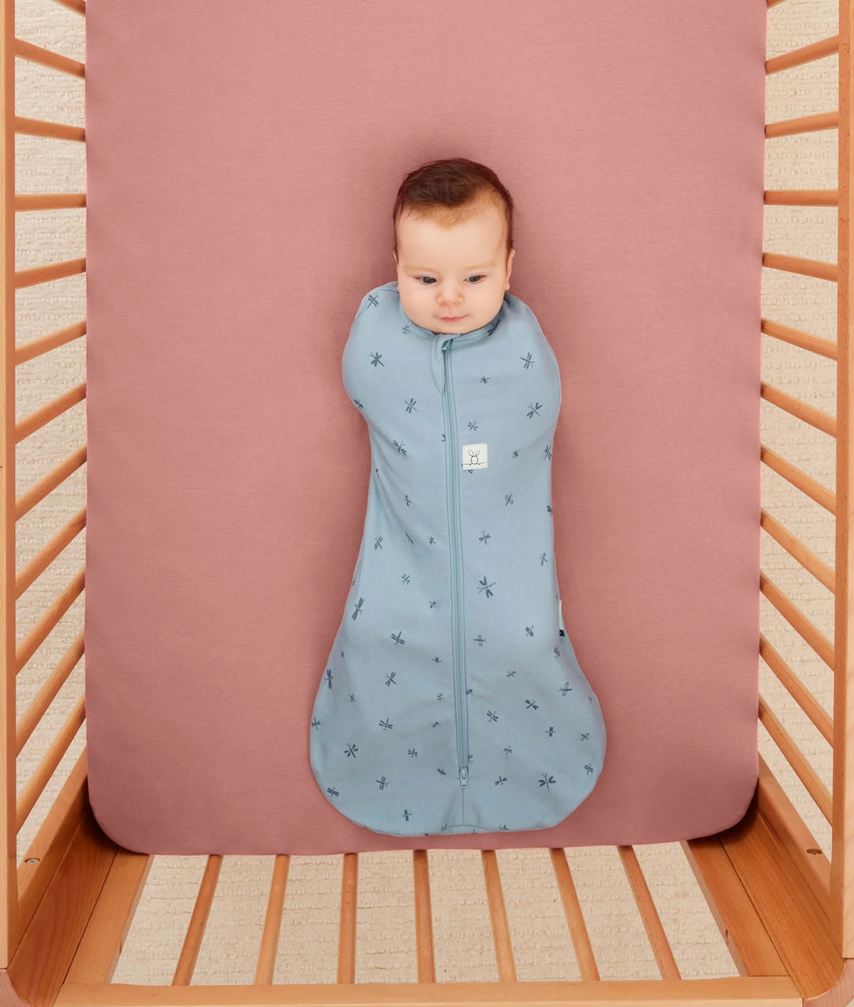 Ergopouch Cocoon Swaddle Bag 1.0 TOG | Dragonflies