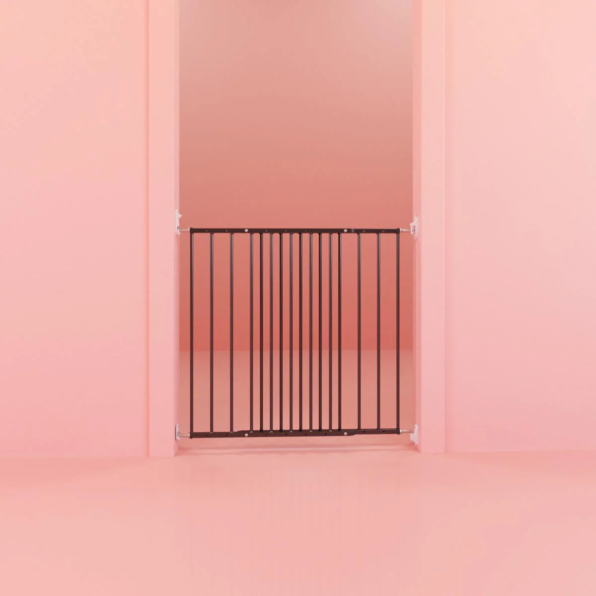 DogSpace Lucky Gate BLACK