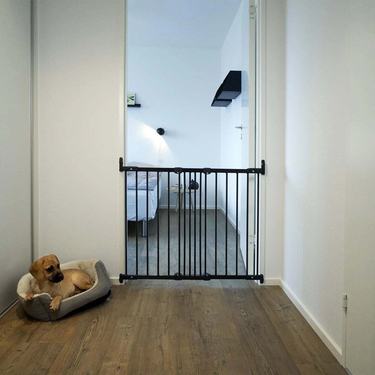 DogSpace Lucky Gate BLACK