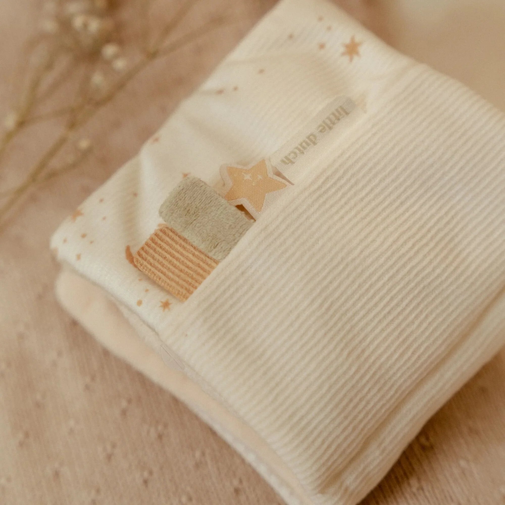 Little Dutch Little Goose Stroller Book | ETA April