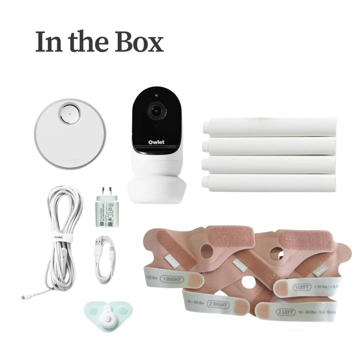 Owlet Dream Sock and Cam 2 Duo Dusty Rose