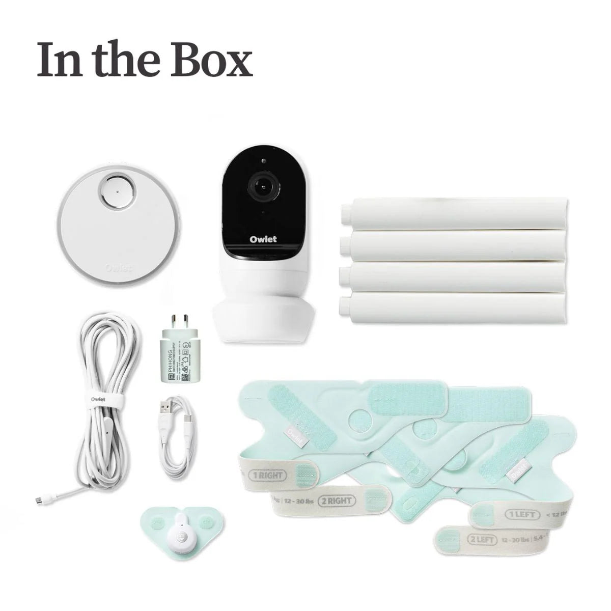 Owlet Dream Sock and Cam 2 Duo Mint