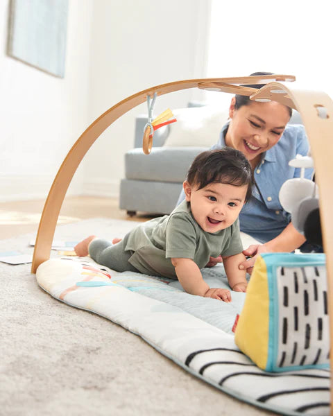 Skip Hop Discoverosity Deluxe Activity Gym - Tiny Tots Baby Store 