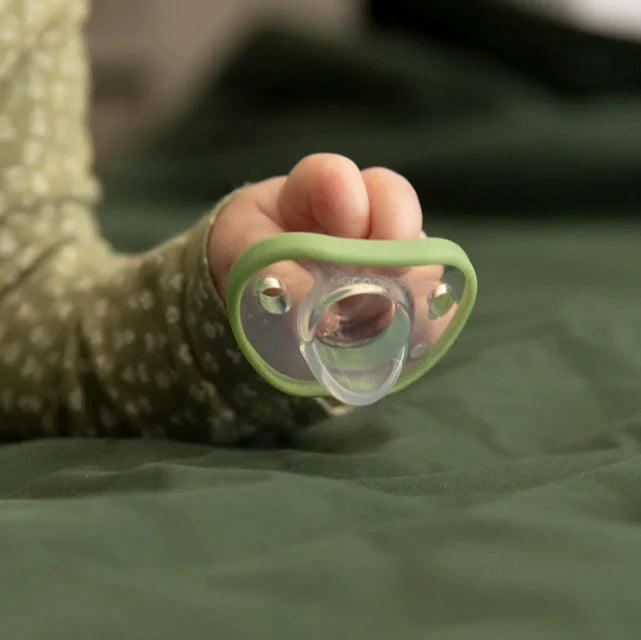 Nanobebe Flexy Pacifier Twin-Pack - Sage