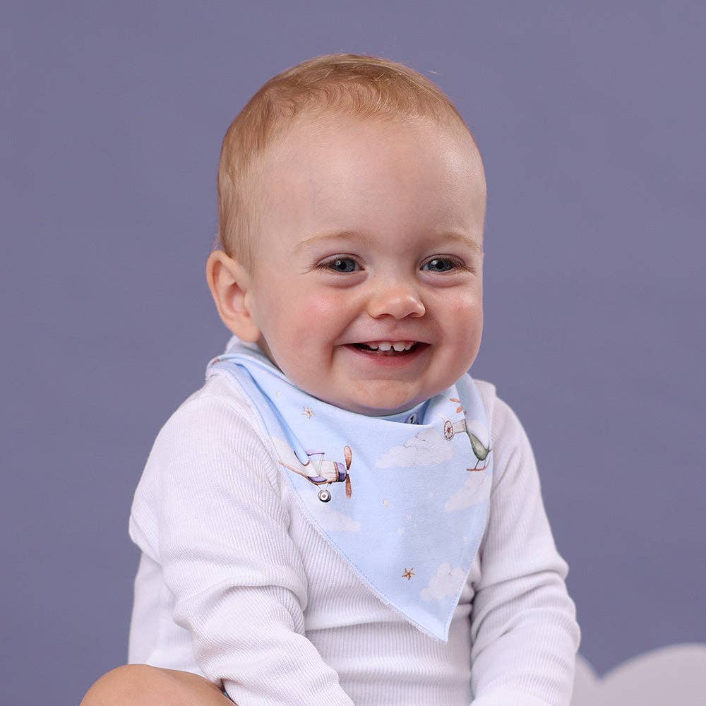 Snuggle Hunny - Taking Flight Organic Dribble Bib