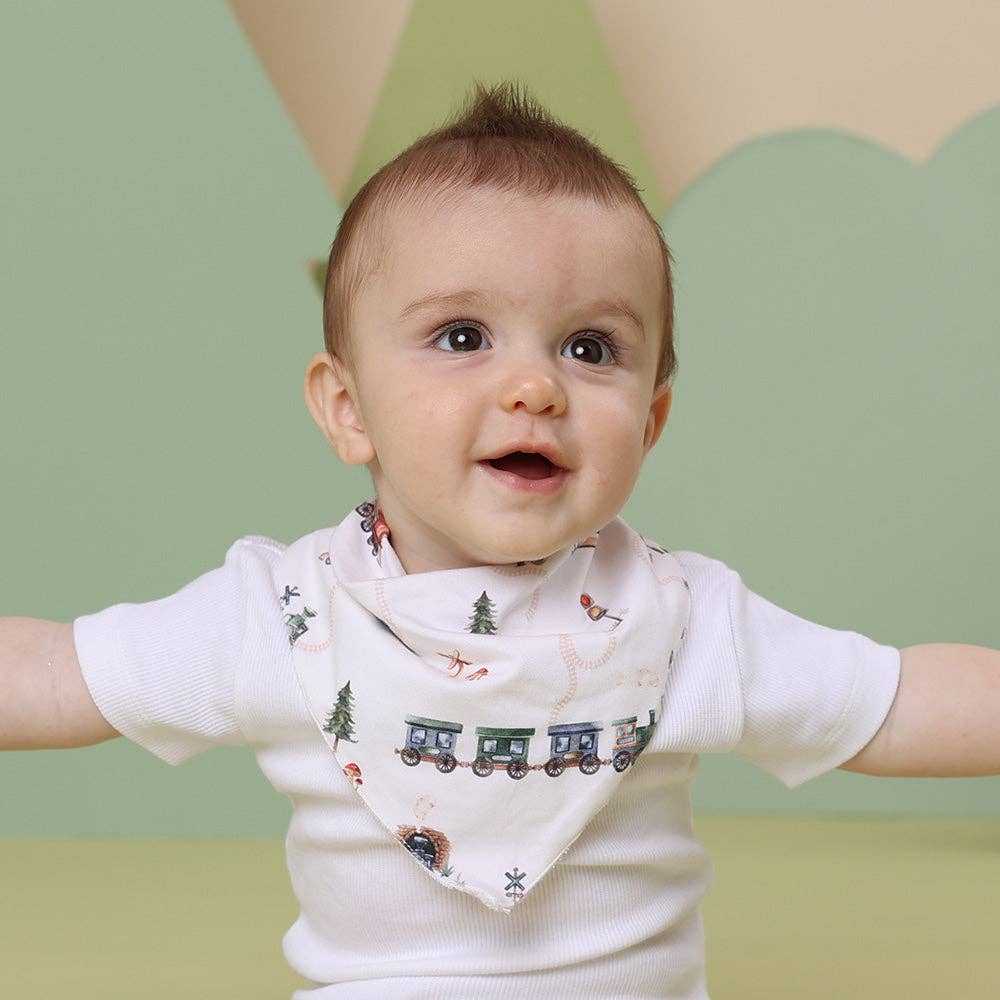 Snuggle Hunny - Trains Organic Dribble Bib