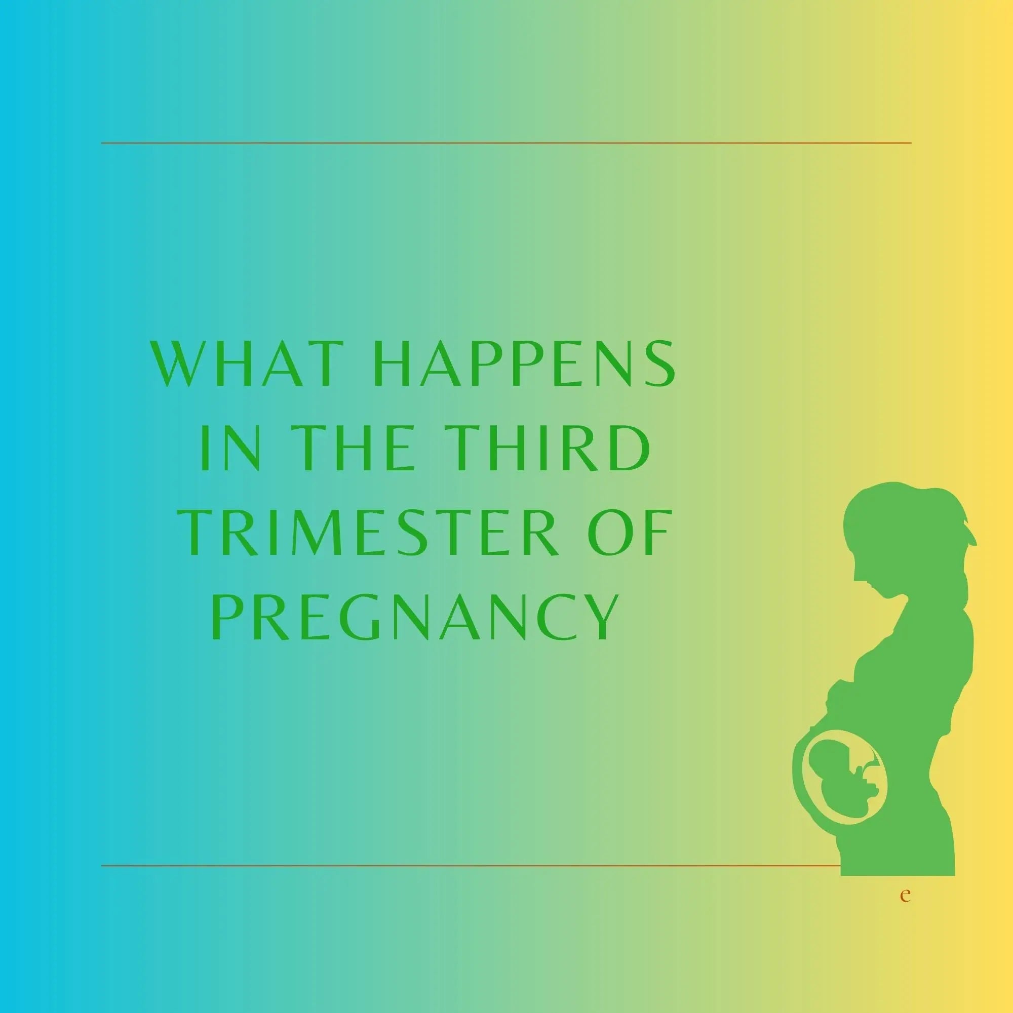 What Happens in the Third Trimester of Pregnancy