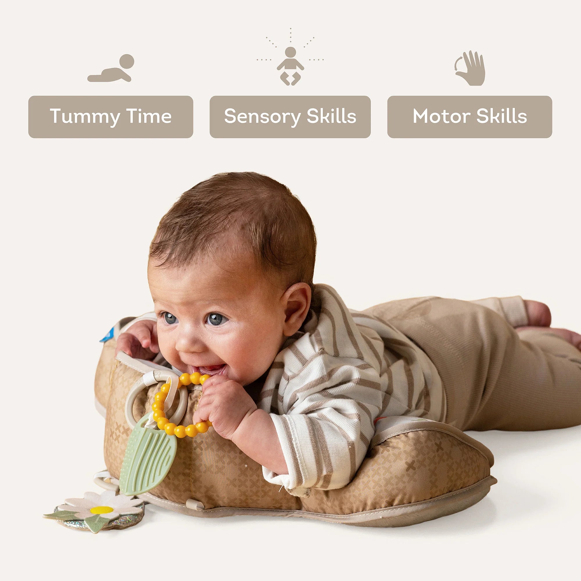 Taf Toys Tummy Time Pillow - Bear 0M+
