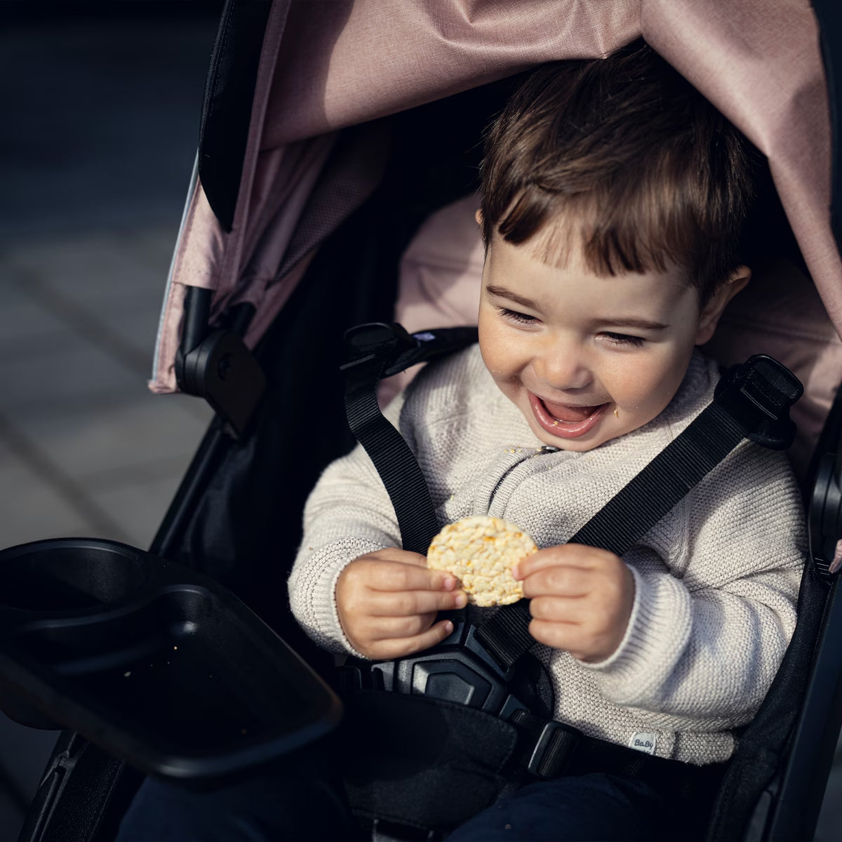 Thule Spring snack tray