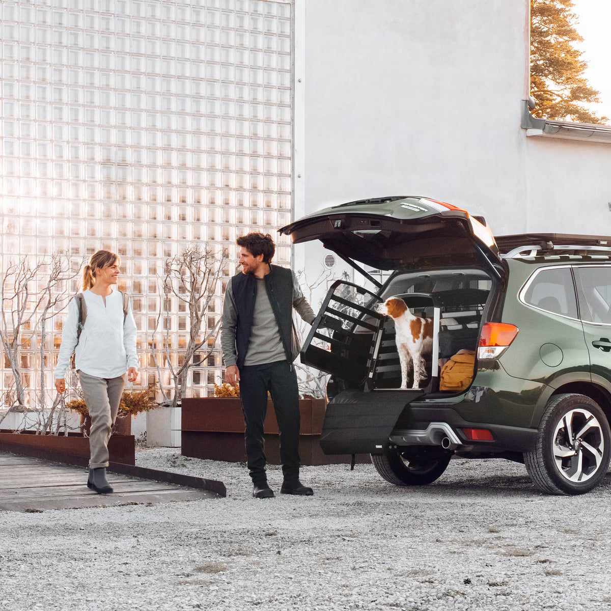 Thule bumper protect standard