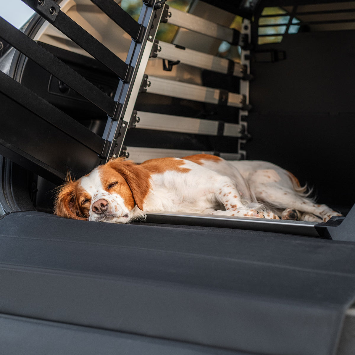 Thule dog crate mat standard