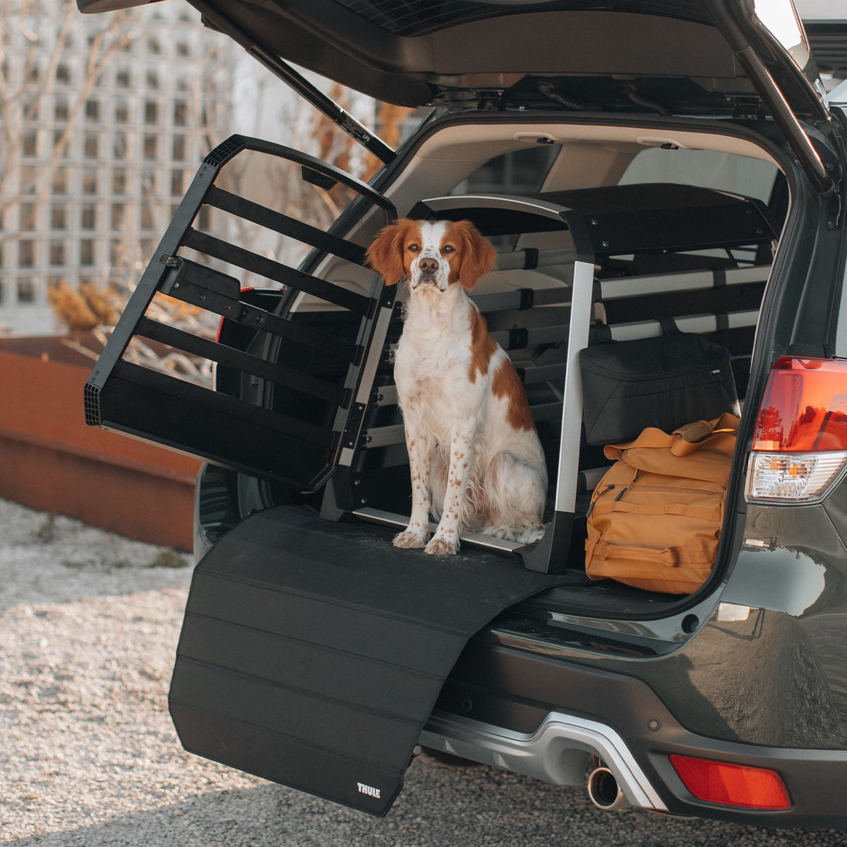 Thule dog crate storage bag