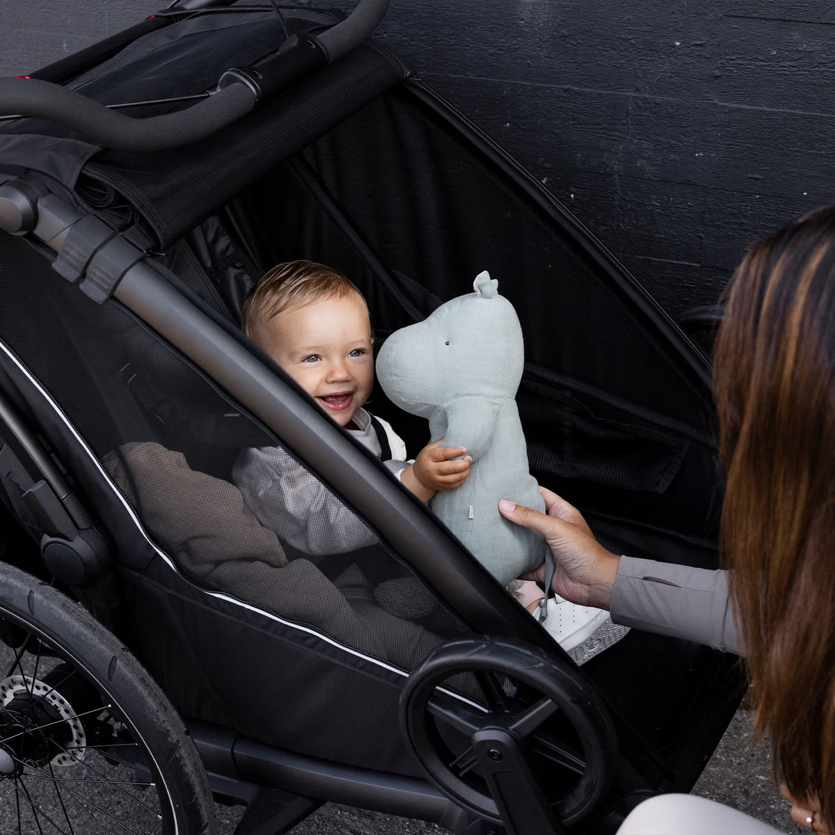 Thule Chariot Sport V2
