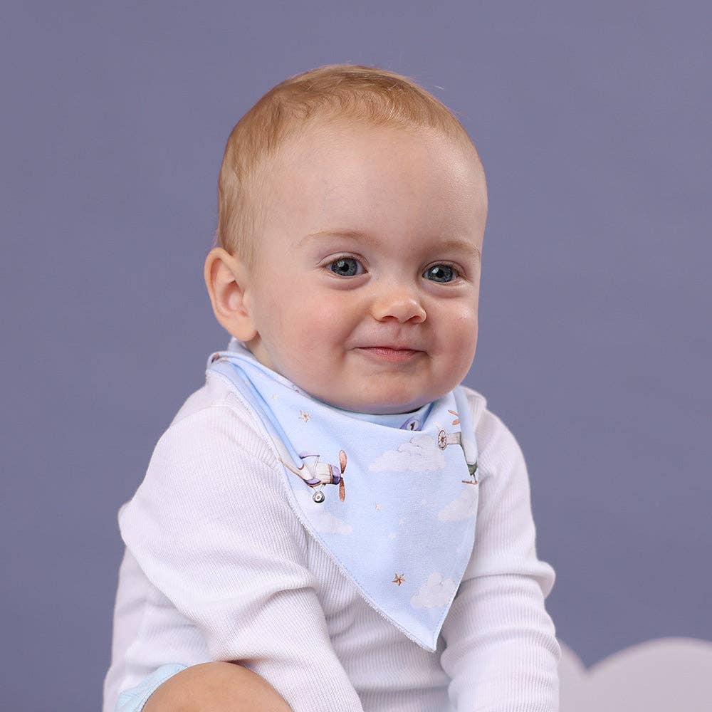 Snuggle Hunny - Taking Flight Organic Dribble Bib 