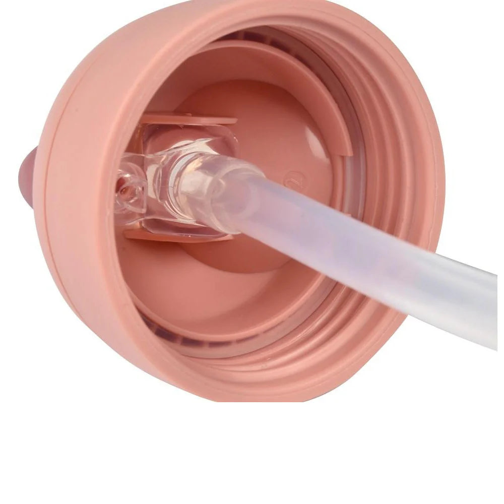 Beaba Straw Cup 300ML - VINTAGE PINK