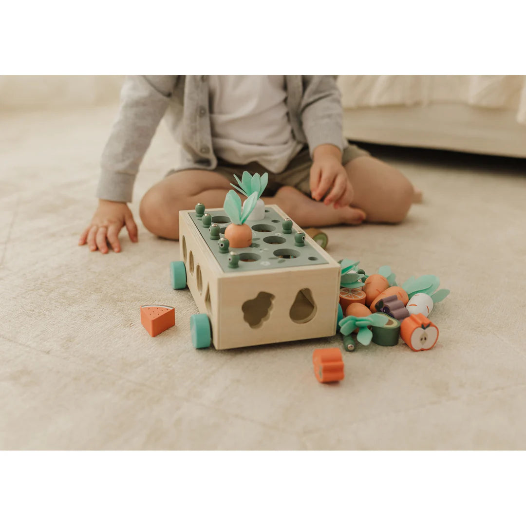 Bubble Wooden Vegetable Garden | ETA Early July
