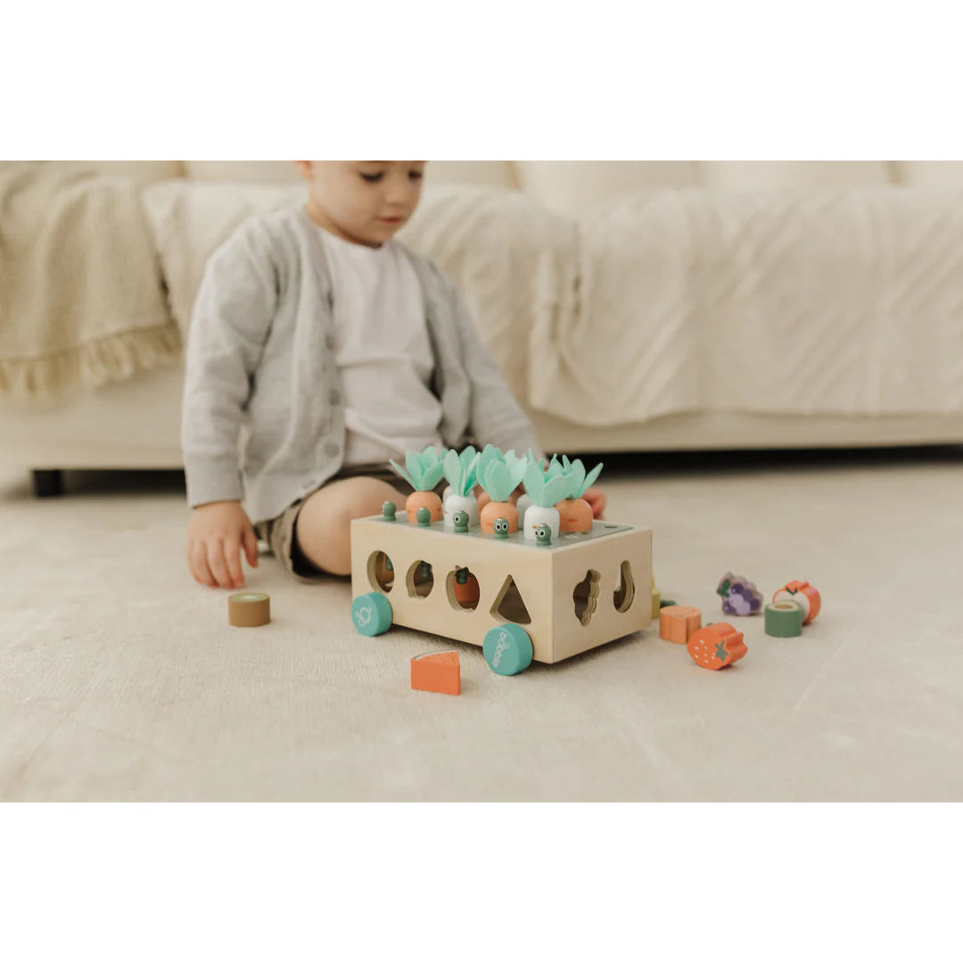 Bubble Wooden Vegetable Garden | ETA Early July