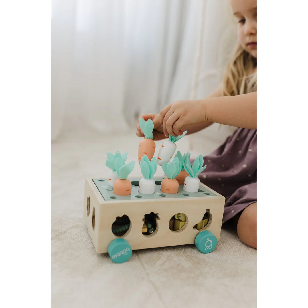 Bubble Wooden Vegetable Garden | ETA Early July