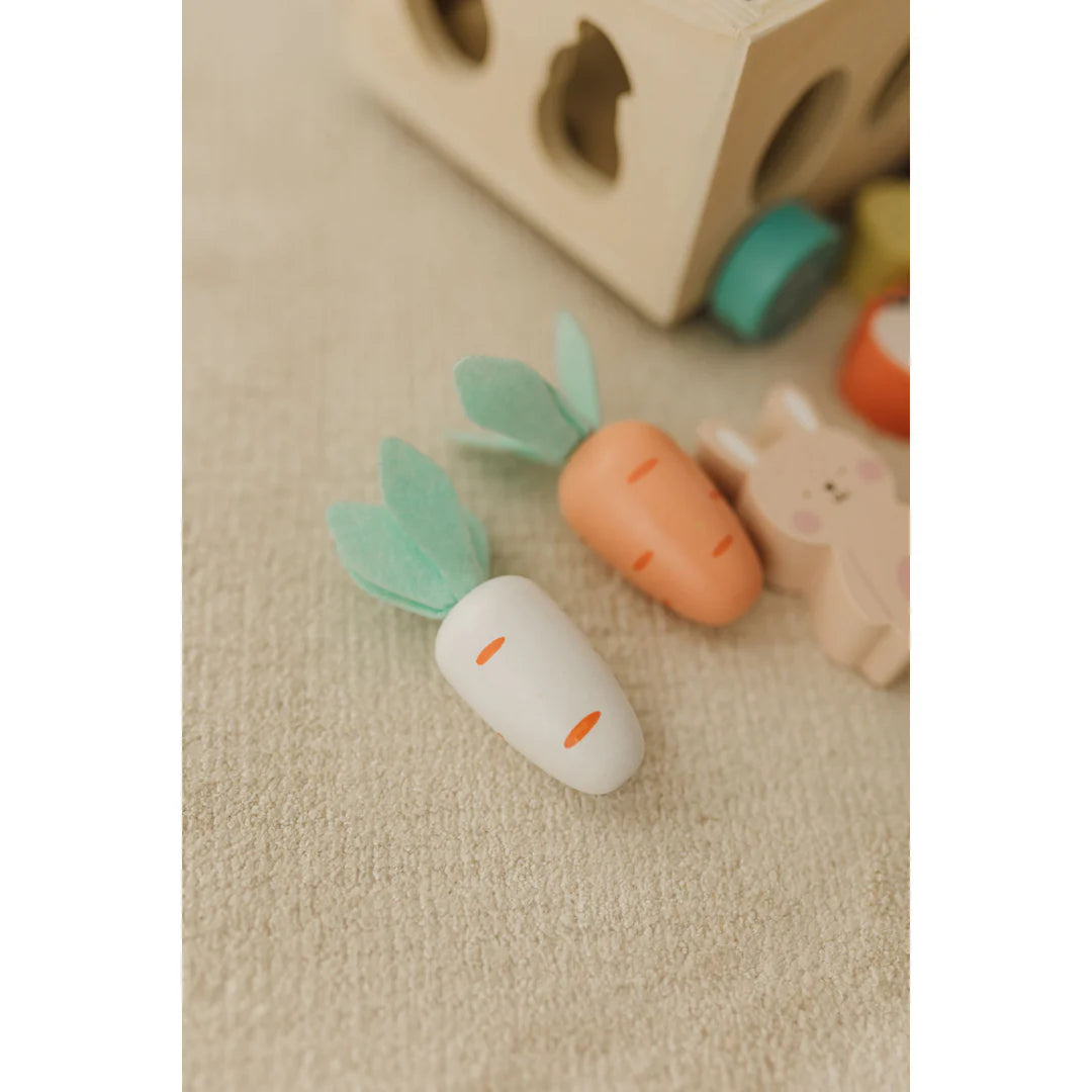 Bubble Wooden Vegetable Garden | ETA Early July