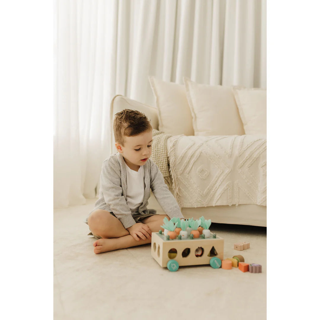 Bubble Wooden Vegetable Garden | ETA Early July